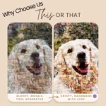 Comparison between tool generated mosaic and vibrant crisp photo mosaic